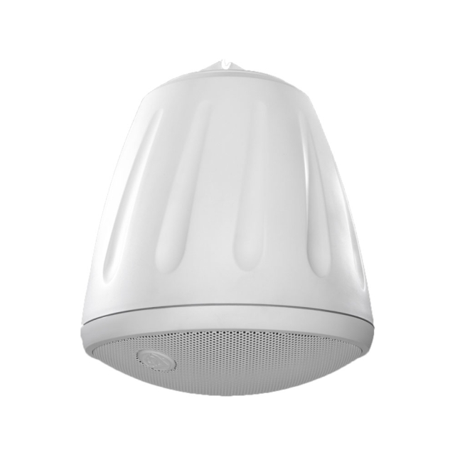 RS1001i-II-T-WH