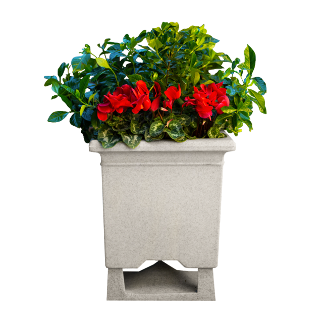 SquareRoot 6.5 GG